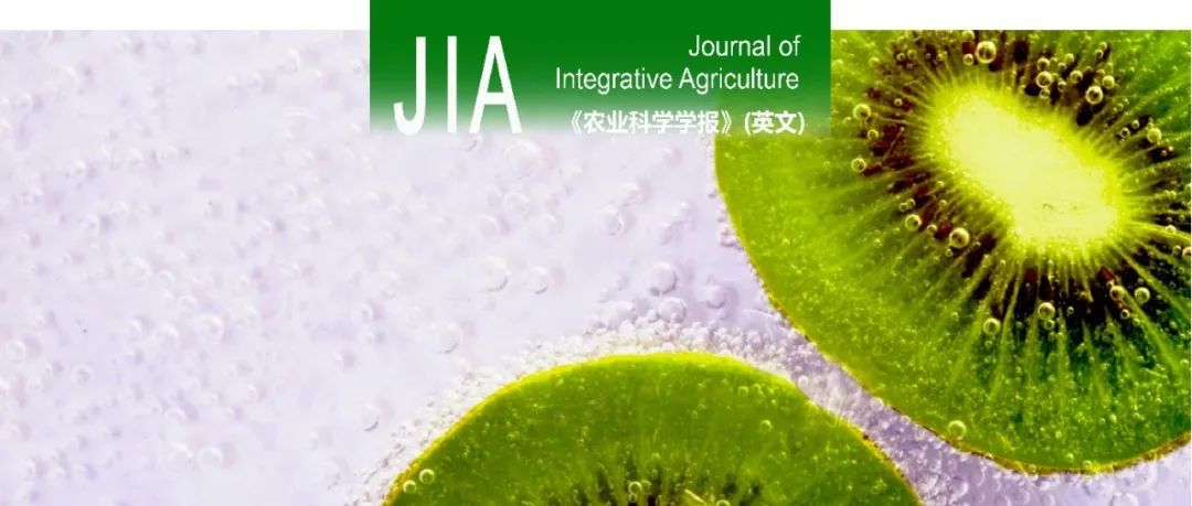 JIA｜四川农业大学梁东教授课题组开展RAD23全基因组的鉴定及AcRAD23D1在猕猴桃抗旱中的功能分析
