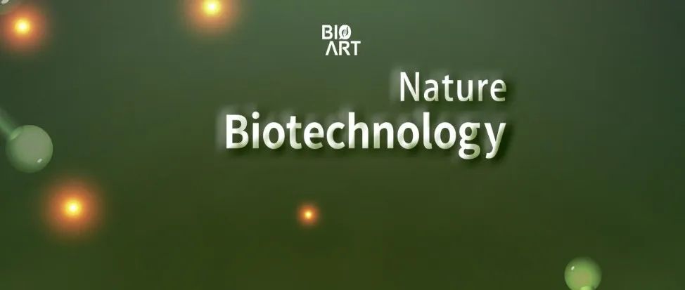 同日2篇Nat Biotechnol |李大力/陈亮合作开发新型线粒体碱基编辑器，实现高效精准的线粒体疾病建模及突变纠正