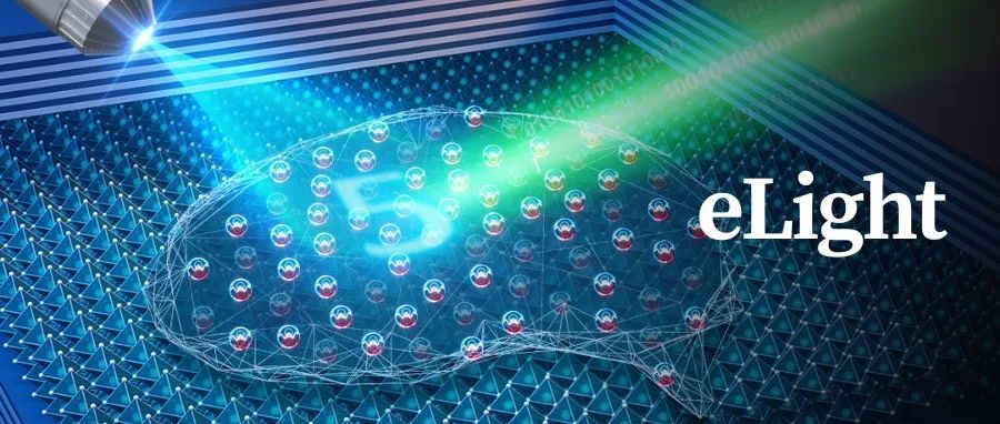 熊启华等eLight | 钙钛矿微腔激子极化激元神经形态计算