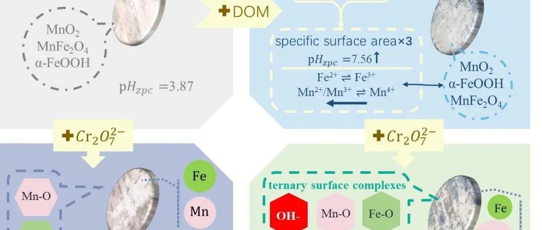 【视点】桂林理工大学李宁杰课题组：DOM负载增强了铁锰氧化物对Cr(VI)的吸附：过程与机制