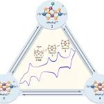 南师大陈旭东教授课题组Angew. Chem.：固氮酶相关铁硫簇合物合成化学领域取得重要研究进展