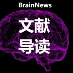 Scientific Data：郭桃梅课题组开放高质量fMRI数据集，助力双语认知研究