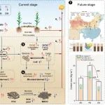 Nature Communications | 南师大蔡祖聪教授团队在发文揭示覆盖可降解膜的土壤碳固存机制和气候反馈效应