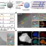 异质结和氧空位的功能界面层协同提升富锂正极材料的电化学性能