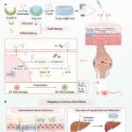 浙大周民教授团队 Bioact. Mater.：微藻药物递送系统"降尿酸-抗炎-消化系统保护"三位一体协同用于痛风性关节炎的治疗