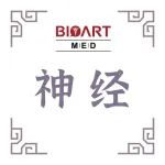 Brain综述丨张隆伯探讨Filamin A（FLNA）在神经系统发育及相关疾病中的多重功能