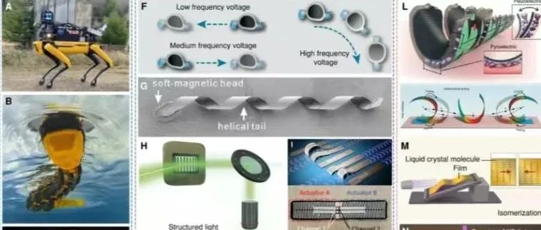 UCLA贺曦敏教授团队 Sci. Robot.: 提升自主软体机器人的物理智能 - 需化学、材料学、力学、数学、生物学...
