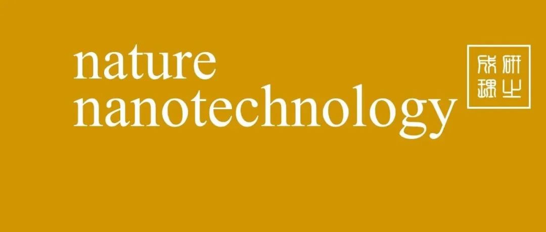 Fe3O4纳米材料，Nature Nanotechnology！