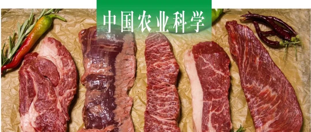中国农业科学｜河南农大反刍动物生产科技创新团队揭示南阳牛不同肌肉组织脂质特征的差异表达模式