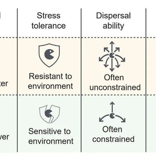 西北农林科技大学韦革宏教授/焦硕教授团队Advanced Science最新成果！
