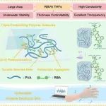 AFM：大面积、超强、抗膨胀水凝胶薄膜的制备，用于水下隐形电子皮肤