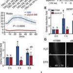 华中农业大学李博团队合作最新Science子刊