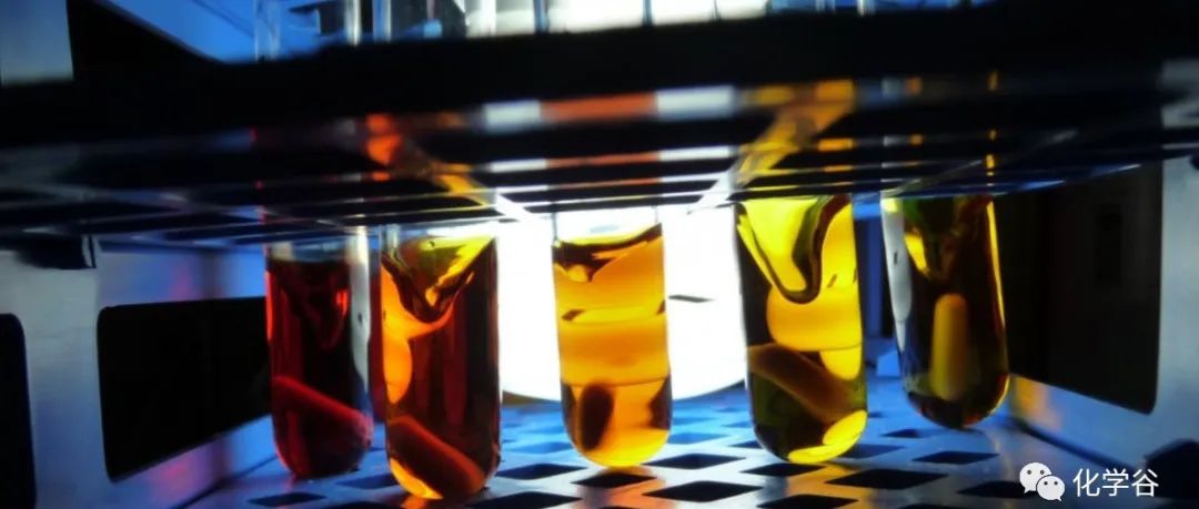 周其林团队："顽固"的二芳基酮不对称氢化