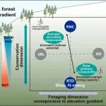 Journal of Ecology | 成都生物所尹华军团队在森林根系分泌物化学特性介导的根际养分获取策略研究中获新进展
