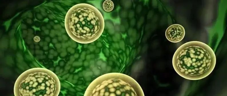1区 | 不看这篇文章，就不用做微生物组学了！
