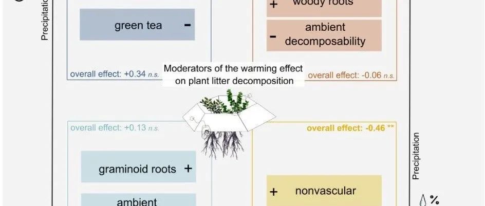 Ecology Letters | 全球变暖对植物凋落物分解的总体影响及其调节因素