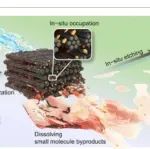 内蒙古科技大学《Cabron Energy》：提高钠离子电池硬碳低电压平台容量的双相孔隙工程策略