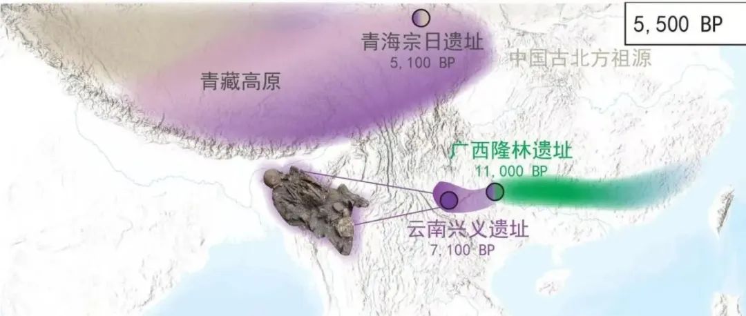 中国科学院古脊椎所付巧妹团队联合多家机构：追踪青藏高原“幽灵祖先”和南亚语系族群的遗传起源