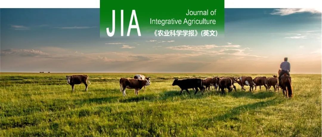 JIA｜中国农业大学张英俊教授团队提出化草为粮：保障饲料粮安全的饲草策略与机制