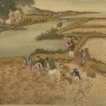 韩茂莉：夏满芒夏暑相连——夏日的农事活动