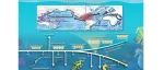 The Innovation Geoscience | 解码海龙科物种全球扩散与性状创新演化