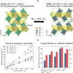 孟颖JACS：为氯化物惰性固体电解质赋能可逆氧化还原储能特性