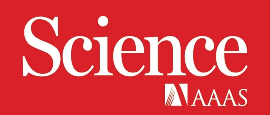 重磅！锂电池，今日Science！
