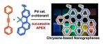 名古屋大学Kenichiro Itami教授团队Precis. Chem. | 基于连续APEX反应的&#17627;基纳米石墨烯合成