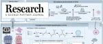 Research|循环肿瘤细胞高效便携式荧光检测技术—华西医院实验医学科/四川大学“医学+制造”中心陈飘飘团队新进展