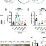 PNAS丨中国药科大学李苏昕等研究发现小胶质细胞中Aβ-STING反馈机制的纳米免疫调控治疗阿尔茨海默病
