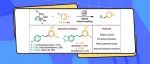 【ACS Catal.】陕西师大薛东/康腾飞：钯催化氧化还原中性脱酰基芳基化实现二氢芪类化合物的高效合成