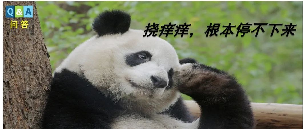 高考冲刺别毁在眼睛上！全国爱眼日必看急救包来了→