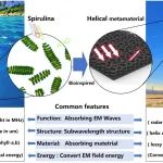 中北大学王智/尹丽仙、西安交大田小永 Compos. Part B：3D打印超材料新成果-仿生超材料结构设计、制备及机理研究