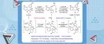 【Nat. Commun.】厦大叶龙武教授课题组：基于炔烃转化的杂环合成方法学研究新进展