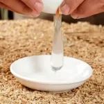 《食品科学》：华中农业大学祝志慧副教授等：基于改进一维卷积神经网络模型的蛋清粉近红外光谱真实性检测