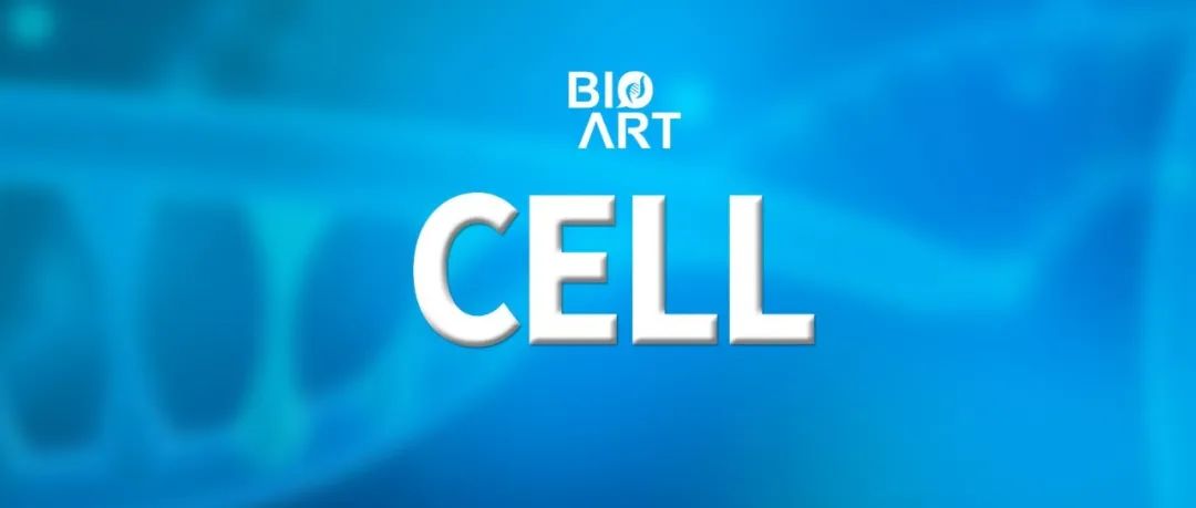Cell丨基于果蝇视觉神经图谱评估连接组学是否能准确预测神经元功能？
