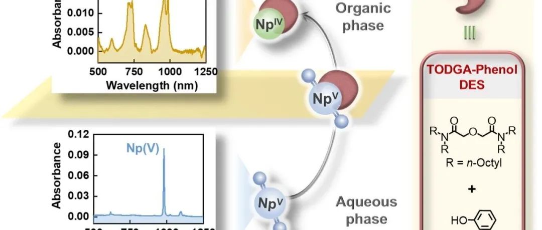 Chem & Bio Engineering | 清华大学徐超、王志鹏团队开发新型溶剂，高效回收核废物中的镎元素