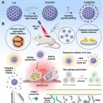 ACS Nano丨上海大学李辉等团队研究构建了一个靶向生物膜基质成分可有效消除生物膜相关感染的光热纳米平台