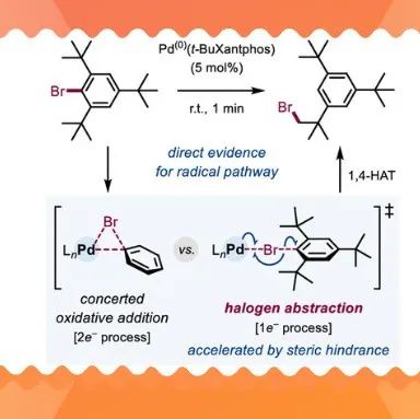 【JACS】空间位阻诱导的Pd(0)加速活化芳基卤化物：一种双电子氧化加成的自由基替代途径