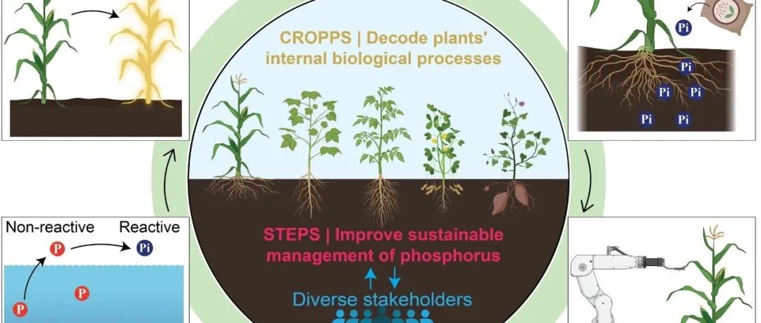 观点文章丨GLOBAL CHANGE BIOL：跨学科合作塑造可持续和具有抗逆能力的农业系统