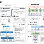 Information Fusion｜哈尔滨理工大学赵玲玲等：知识融合语言模型革新蛋白-蛋白相互作用调节剂预测