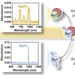 清华大学徐超、王志鹏团队Chem & Bio Engineering：开发新型溶剂，高效回收核废物中的镎元素