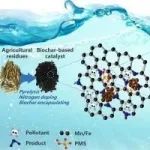 井冈山大学周彦波课题组WR：N掺杂生物炭-铁锰复合材料——一种高效过硫酸盐活化剂用于强化双酚A降解