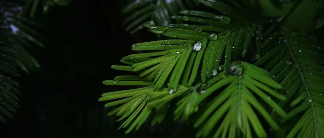 马建青 | 对马克思与历史法学派思想关联的历史考察
