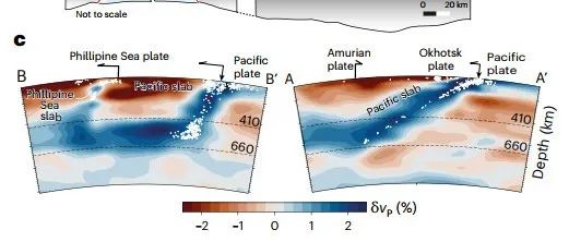 Nat Geosci：同倾双俯冲系统的造山运动