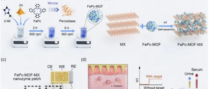 Adv. Mater. | 集成微针FePc-MOF-MXene纳米酶贴片用于体内L-半胱氨酸监测
