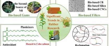张立群教授、郭宝春教授 Macromolecules：探寻橡胶材料的绿色可持续发展路径