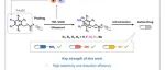 JACS|超声触发自由基级联消除对叠氮苄氧羰基前药的活化