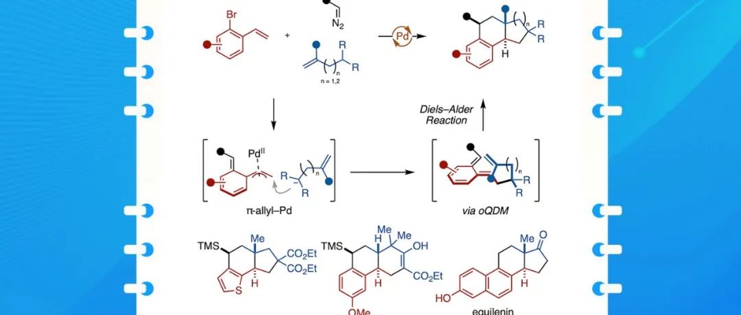 【Chem】早稻田大学与名古屋大学合作报道：邻醌二甲烷生成多环化合物的简便方法