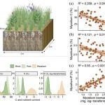 Functional Ecology | 韩兴国/姜勇团队发现微尺度空间AMF生物量和群落组成驱动菌丝养分变化